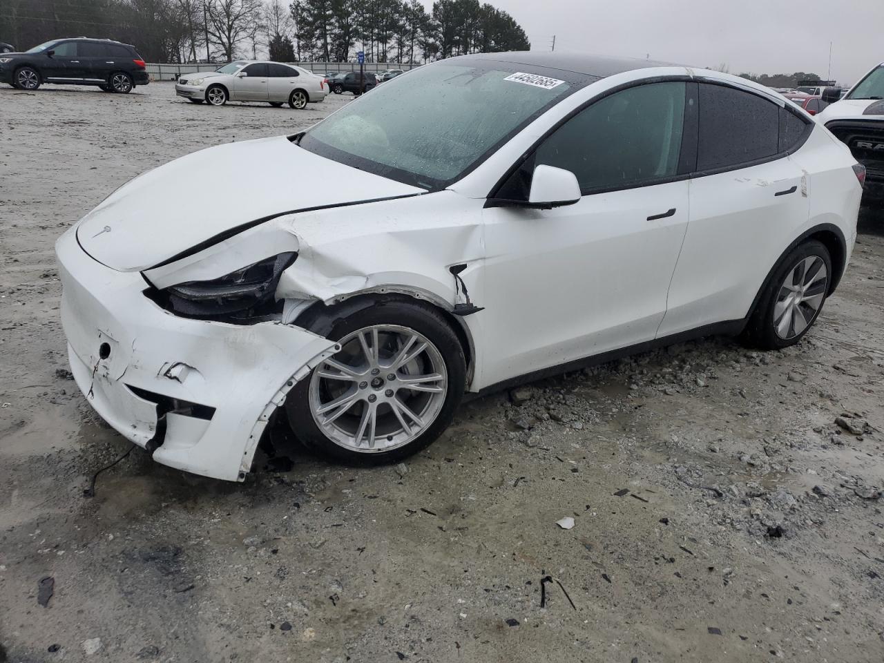 2023 TESLA MODEL Y  VIN:7SAYGDEE6PF704440