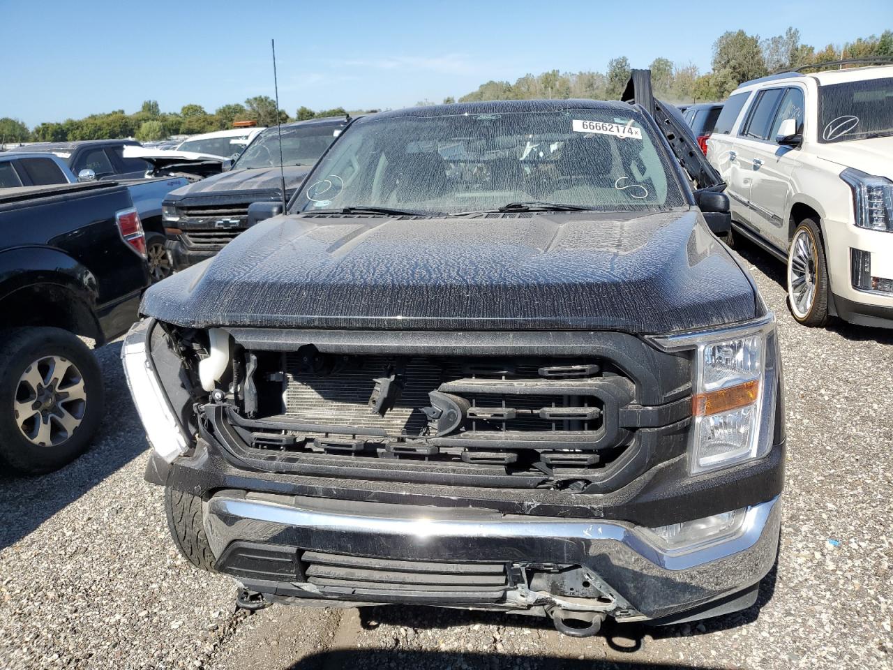 2022 FORD F150  VIN:1FTMF1E51NKD61209
