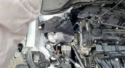 2021 Hyundai Kona KMHK381BEMU769832 VIN:KMHK381BEMU769832