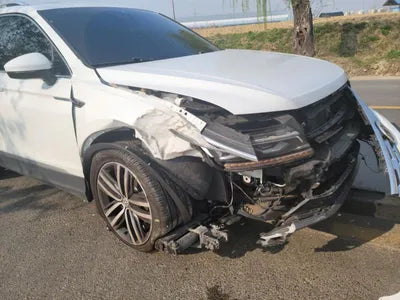 2021 Volkswagen Tiguan WVGZZZ5NZLM173019 VIN:WVGZZZ5NZLM173019