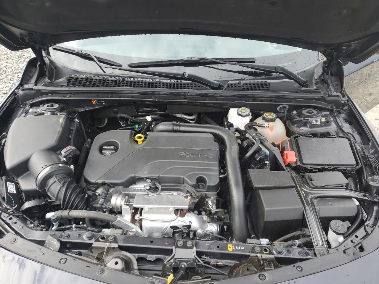 2023 CHEVROLET MALIBU LT VIN:1G1ZD5ST4PF204753