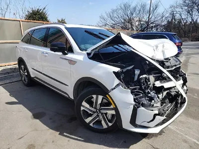 2021 Kia Sorento KNARF81GDMA045087 VIN:KNARF81GDMA045087