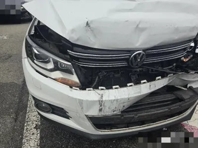 2014 Volkswagen Tiguan VIN: