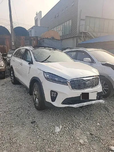2019 Kia Sorento KNAPH81BBLA612488 VIN:KNAPH81BBLA612488