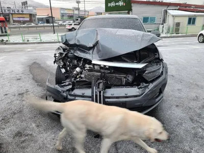2021 Volkswagen Jetta WVWZZZBUZMM083546 VIN:WVWZZZBUZMM083546