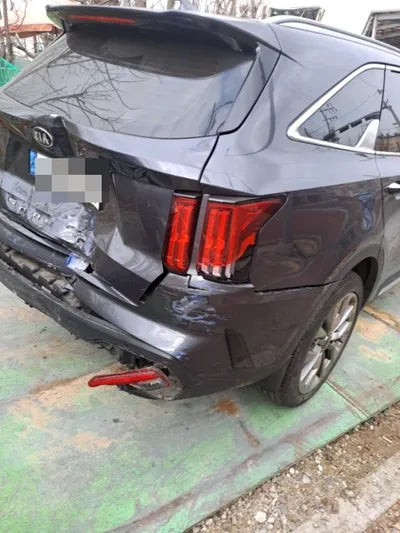 2021 Kia Sorento KNARL81BGMA103199 VIN:KNARL81BGMA103199
