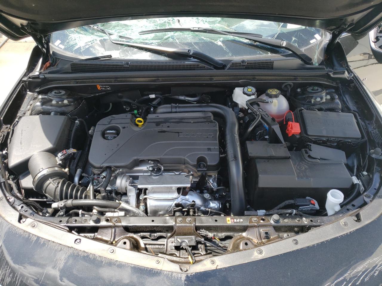 2024 CHEVROLET MALIBU LT VIN:1G1ZD5ST5RF200830