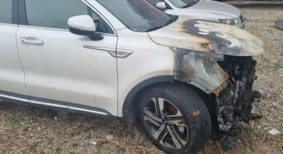 2021 Kia Sorento KNARH81GBMA021079 VIN:KNARH81GBMA021079
