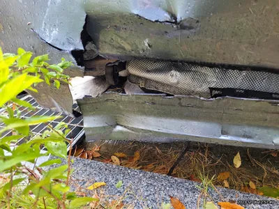 2019 BMW 520 790KMWBAJF3102KWW VIN:790KMWBAJF3102KWW