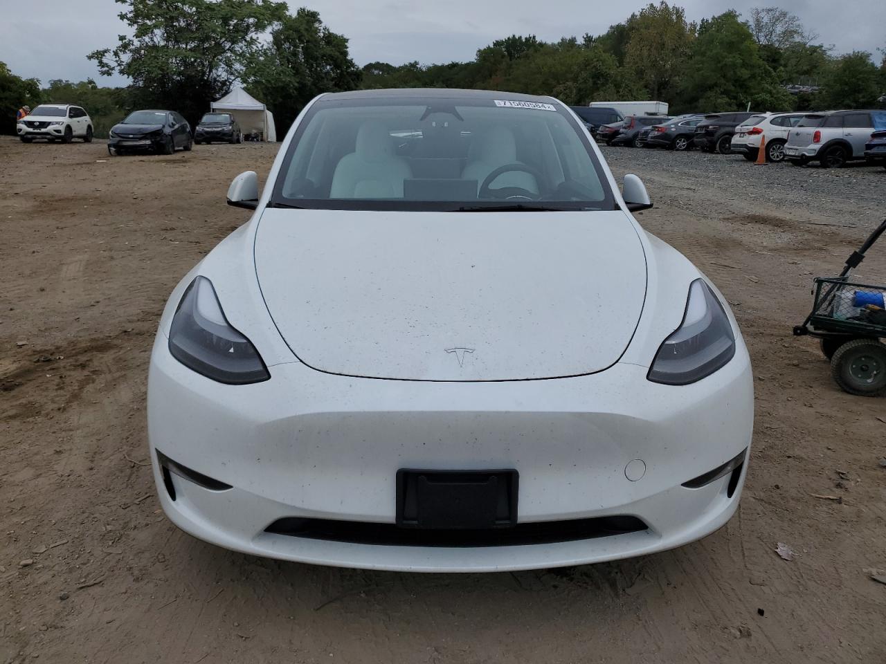 2024 TESLA MODEL Y  VIN:7SAYGDEE1RA260755