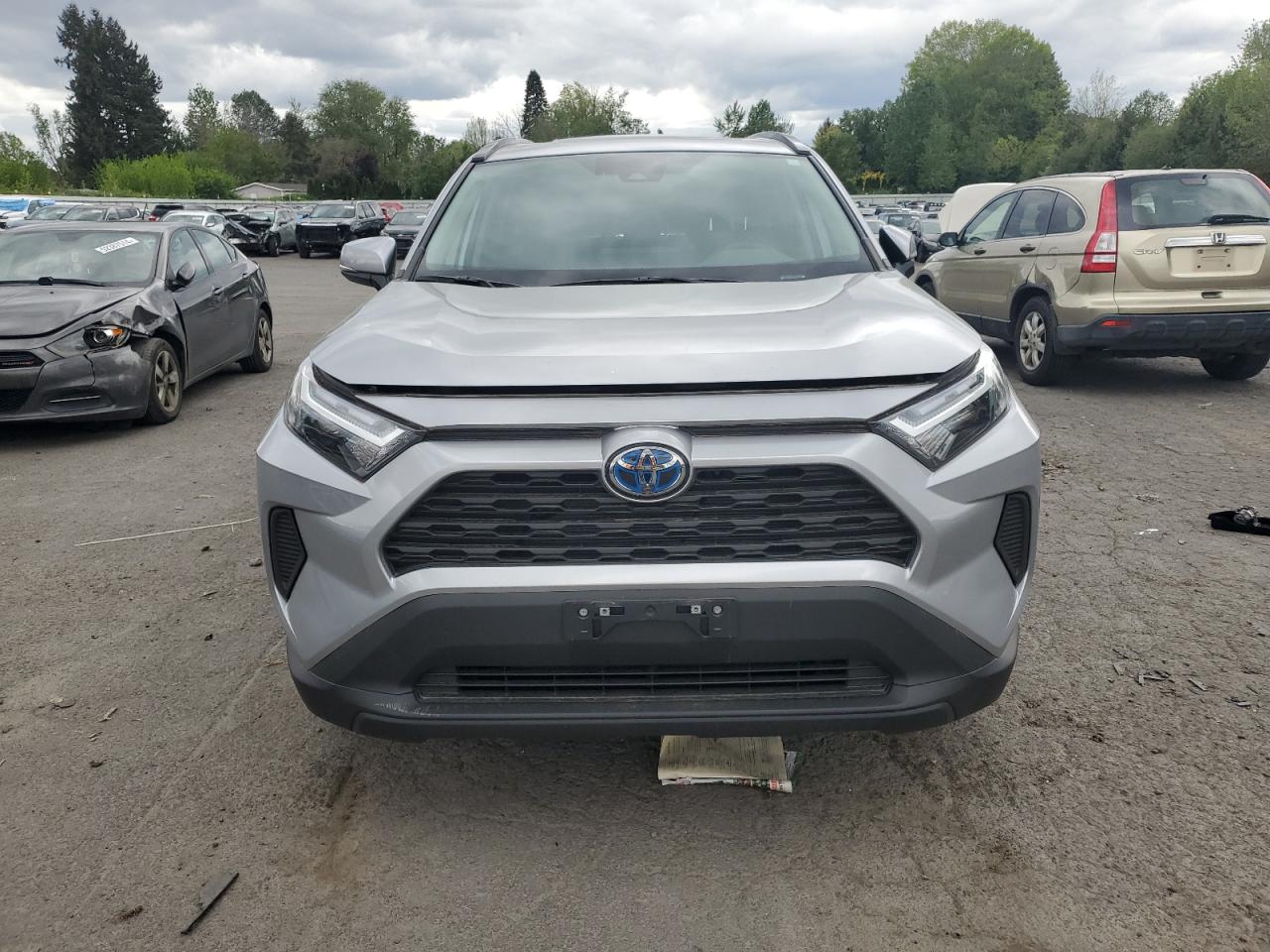 2024 TOYOTA RAV4 XLE VIN:4T3RWRFV5RU115845