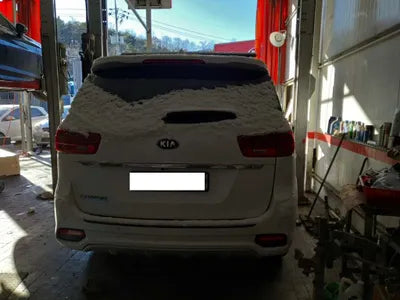 2019 Kia Carnival 115KMKNAME81ABKS5 VIN:115KMKNAME81ABKS5