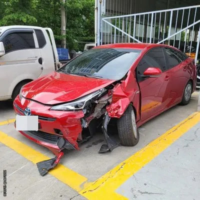 2019 Toyota Prius JTDKARFU7K3100621 VIN:JTDKARFU7K3100621