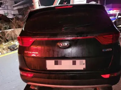 2016 Kia Sportage KNAPN813BGK069436 VIN:KNAPN813BGK069436