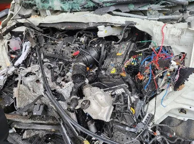 2021 Kia Carnival KNANC81BBMS128216 VIN:KNANC81BBMS128216