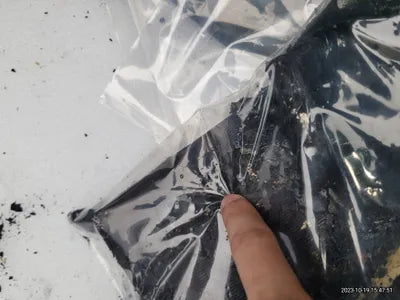 2020 Genesis G80 VIN: