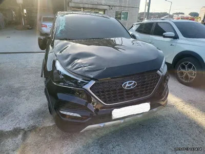 2018 Hyundai Tucson KMHJ2815GJU596150 VIN:KMHJ2815GJU596150