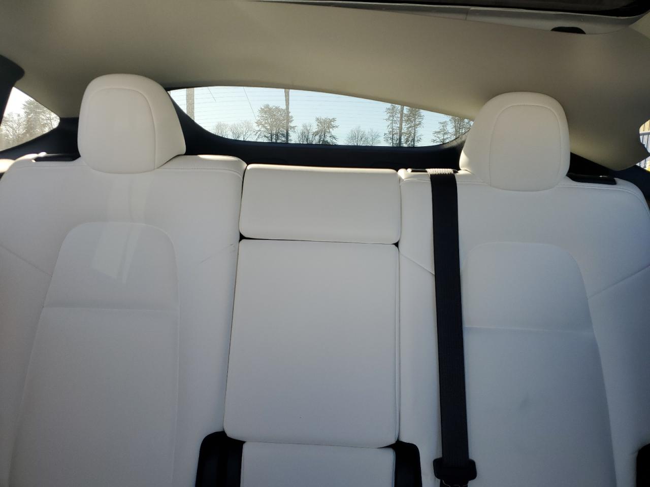 2024 TESLA MODEL Y  VIN:7SAYGAEE0RF983742