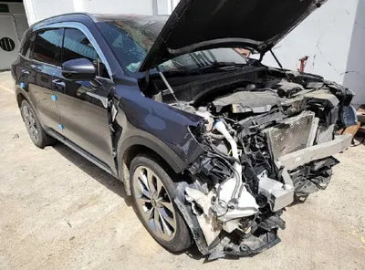 2021 Kia Sorento KNARH81BGMA056349 VIN:KNARH81BGMA056349