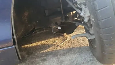 2017 BMW 118 WBA1S5102HV810073 VIN:WBA1S5102HV810073