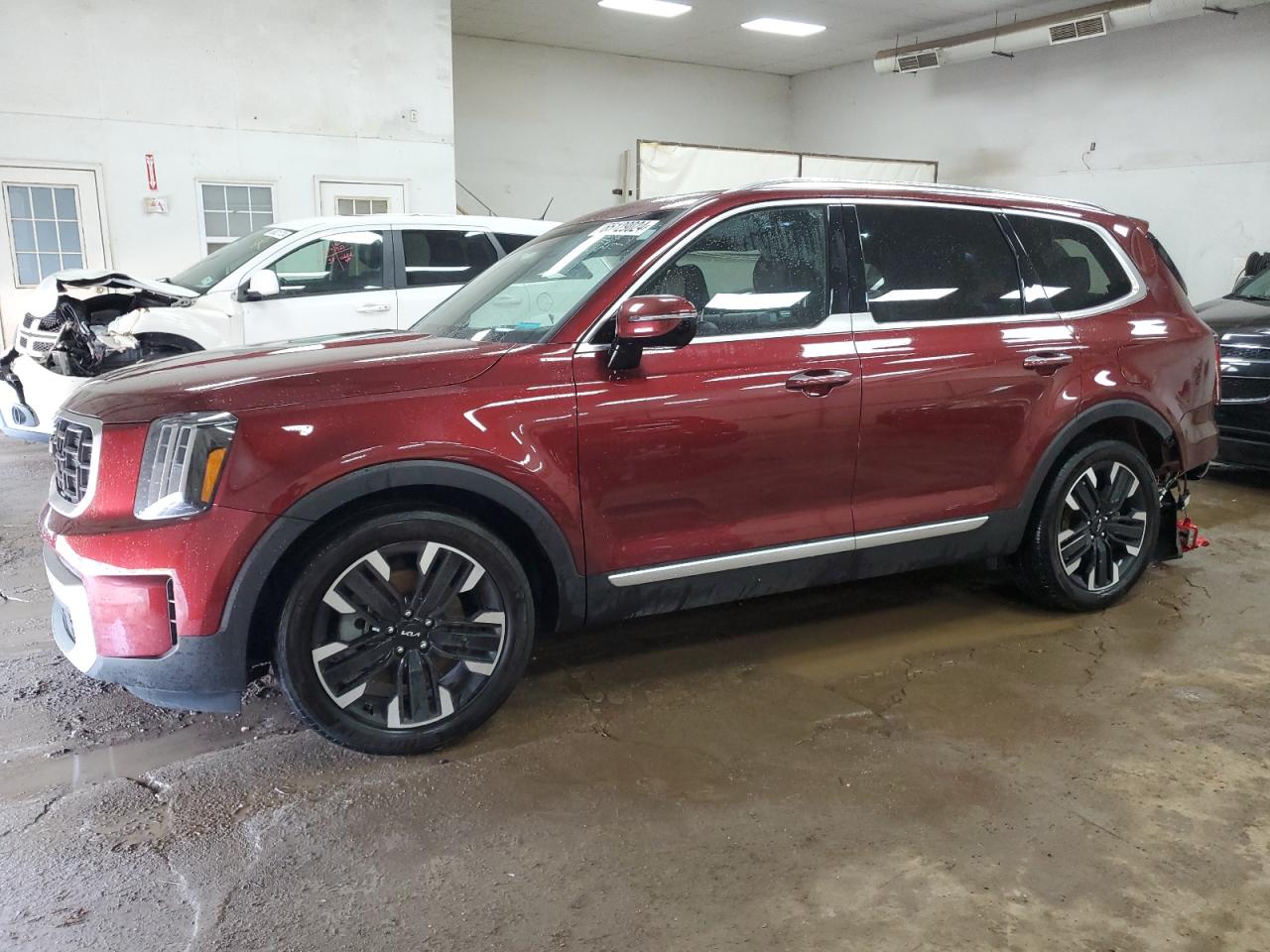 2023 KIA TELLURIDE SX VIN:5XYP5DGC6PG336179