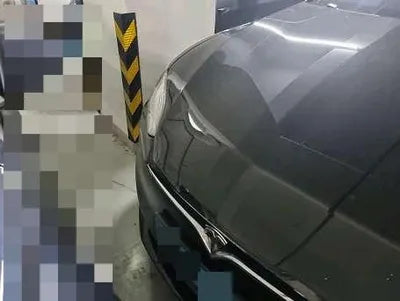 2019 Tesla Model S VIN:
