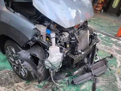 2019 Hyundai Kona KMHK4815GKU401737 VIN:KMHK4815GKU401737