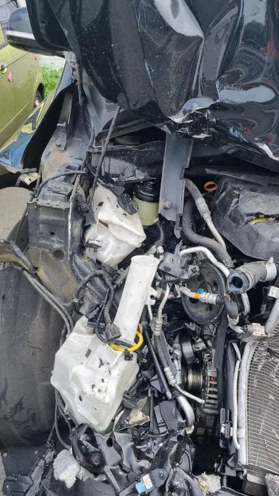 2019 Kia Carnival KNAME81ABKS554963 VIN:KNAME81ABKS554963