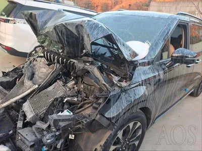 2020 Kia Carnival VIN:
