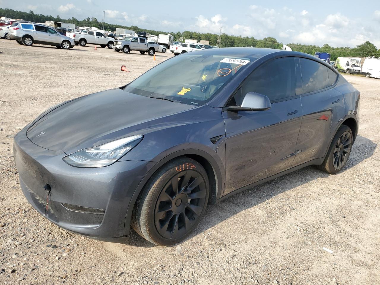 2023 TESLA MODEL Y  VIN:7SAYGDEEXPA093549