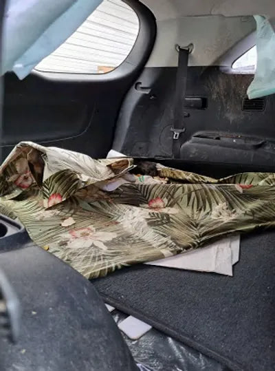 2018 Kia Sorento 493KMKNAPH81BDJA4 VIN:493KMKNAPH81BDJA4