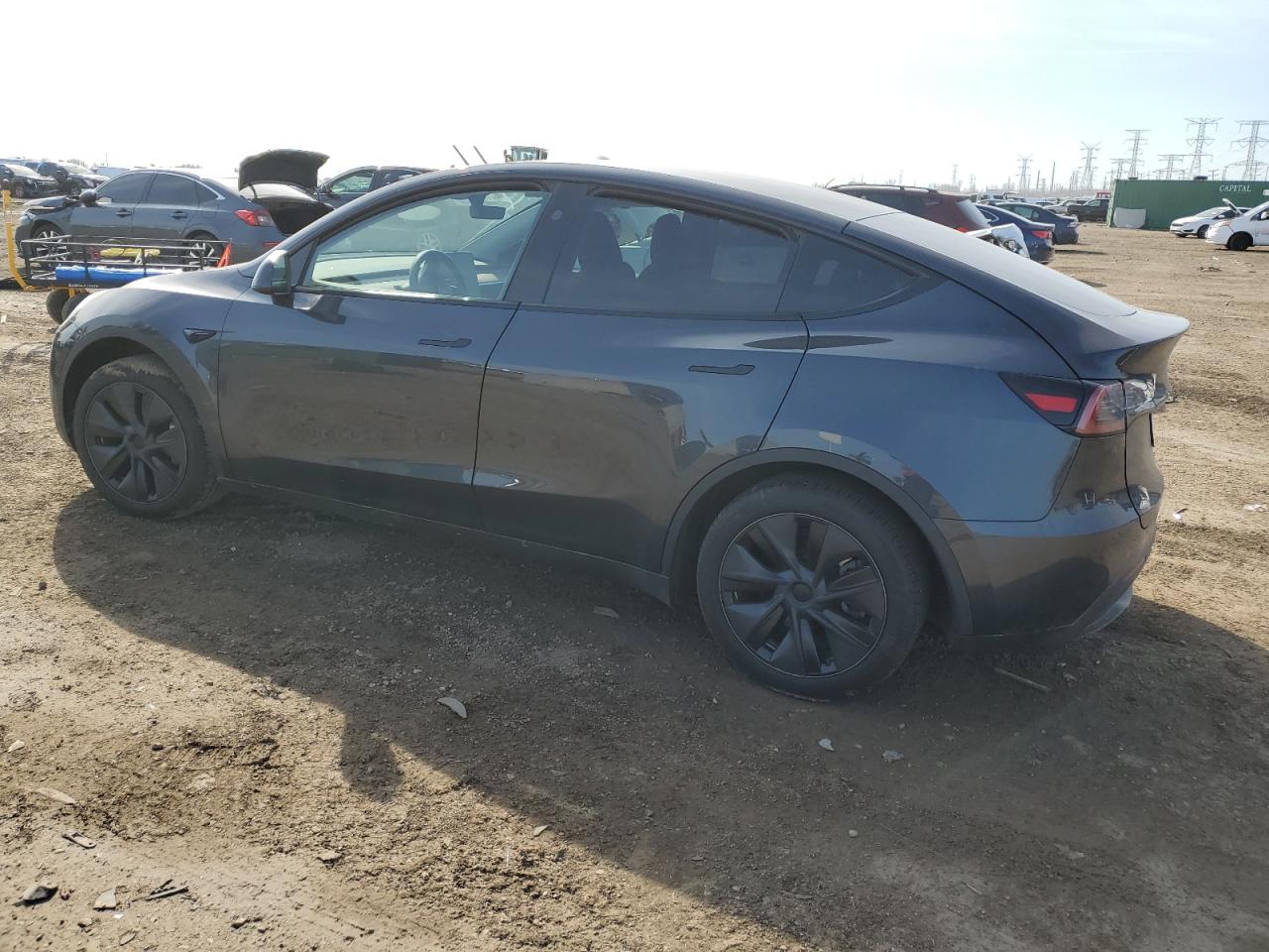 2024 TESLA MODEL Y  VIN:7SAYGDED7RF163537