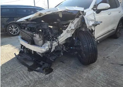 2021 Hyundai Santa FE KMHS381HGMU310393 VIN:KMHS381HGMU310393