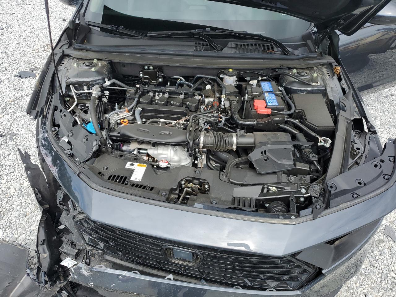 2024 HONDA ACCORD EX VIN:1HGCY1F36RA020355