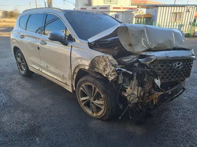 2019 Hyundai Santa FE KMHS581CDKU150496 VIN:KMHS581CDKU150496