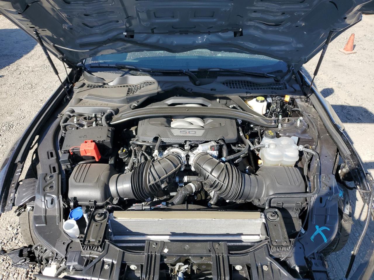 2024 FORD MUSTANG GT VIN:1FA6P8CF1R5425981