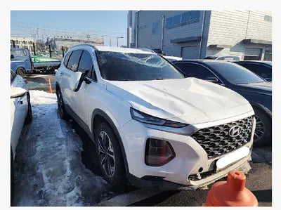 2019 Hyundai Santa FE KMHS281BBKU177128 VIN:KMHS281BBKU177128