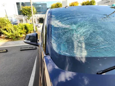 2019 BMW 120 WBY8P2106K7D71264 VIN:WBY8P2106K7D71264