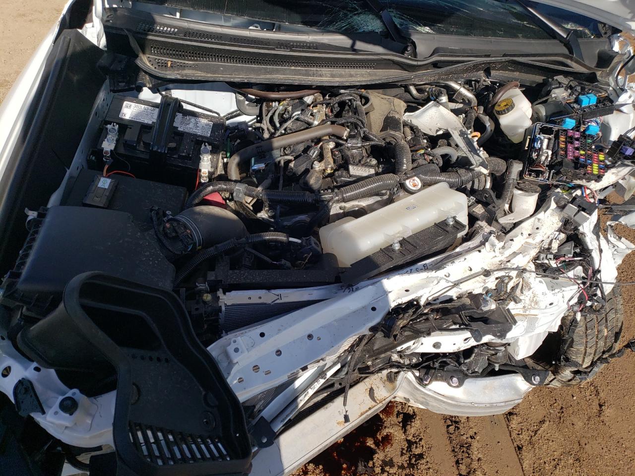 2024 TOYOTA TACOMA DOUBLE CAB VIN:3TMLB5JN8RM024569