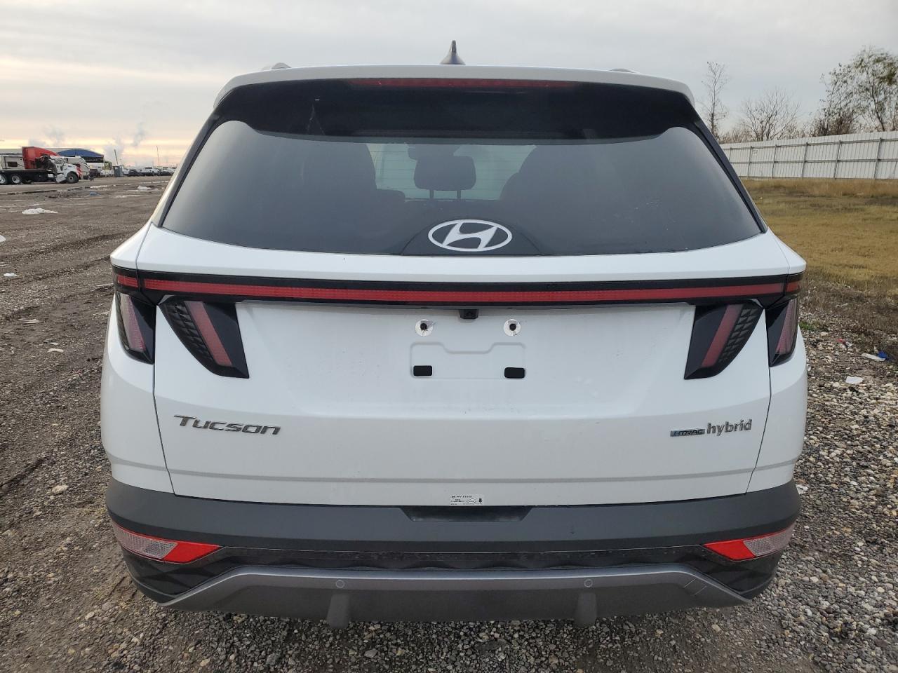 2024 HYUNDAI TUCSON LIMITED VIN:KM8JECD12RU246446