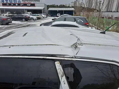 2020 Hyundai Santa FE KMHS281BBLU239686 VIN:KMHS281BBLU239686