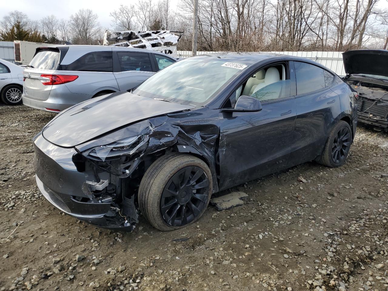 2024 TESLA MODEL Y  VIN:7SAYGAEEXRF990438