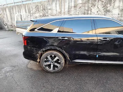 2021 Kia Sorento KNARF81FHMA079304 VIN:KNARF81FHMA079304