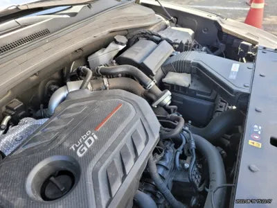 2020 Hyundai Santa FE KMHS381ABLU229579 VIN:KMHS381ABLU229579