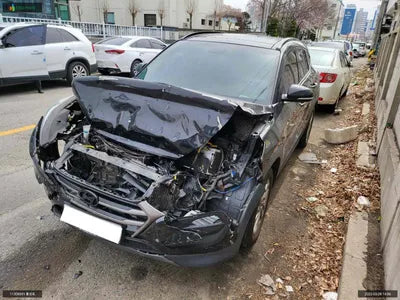 2016 Hyundai Tucson KMHJ281ABGU140496 VIN:KMHJ281ABGU140496