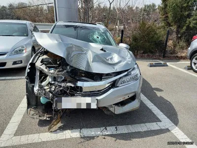 2015 Honda Accord 1HGCR3680GA510038 VIN:1HGCR3680GA510038