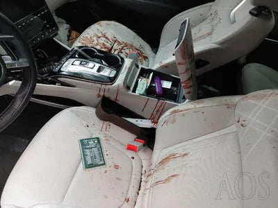 2022 Hyundai Tucson KMHJE811BNU072352 VIN:KMHJE811BNU072352