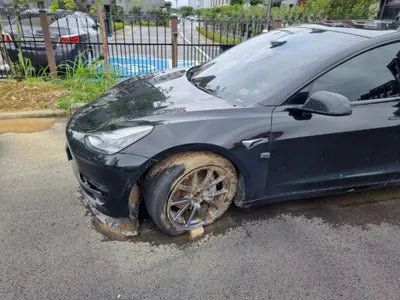 2020 Tesla Model 3 5YJ3E1EBXLF774003 VIN:5YJ3E1EBXLF774003