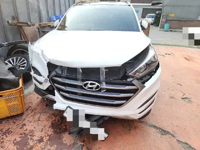 2016 Hyundai Tucson KMHJ381ABGU183510 VIN:KMHJ381ABGU183510