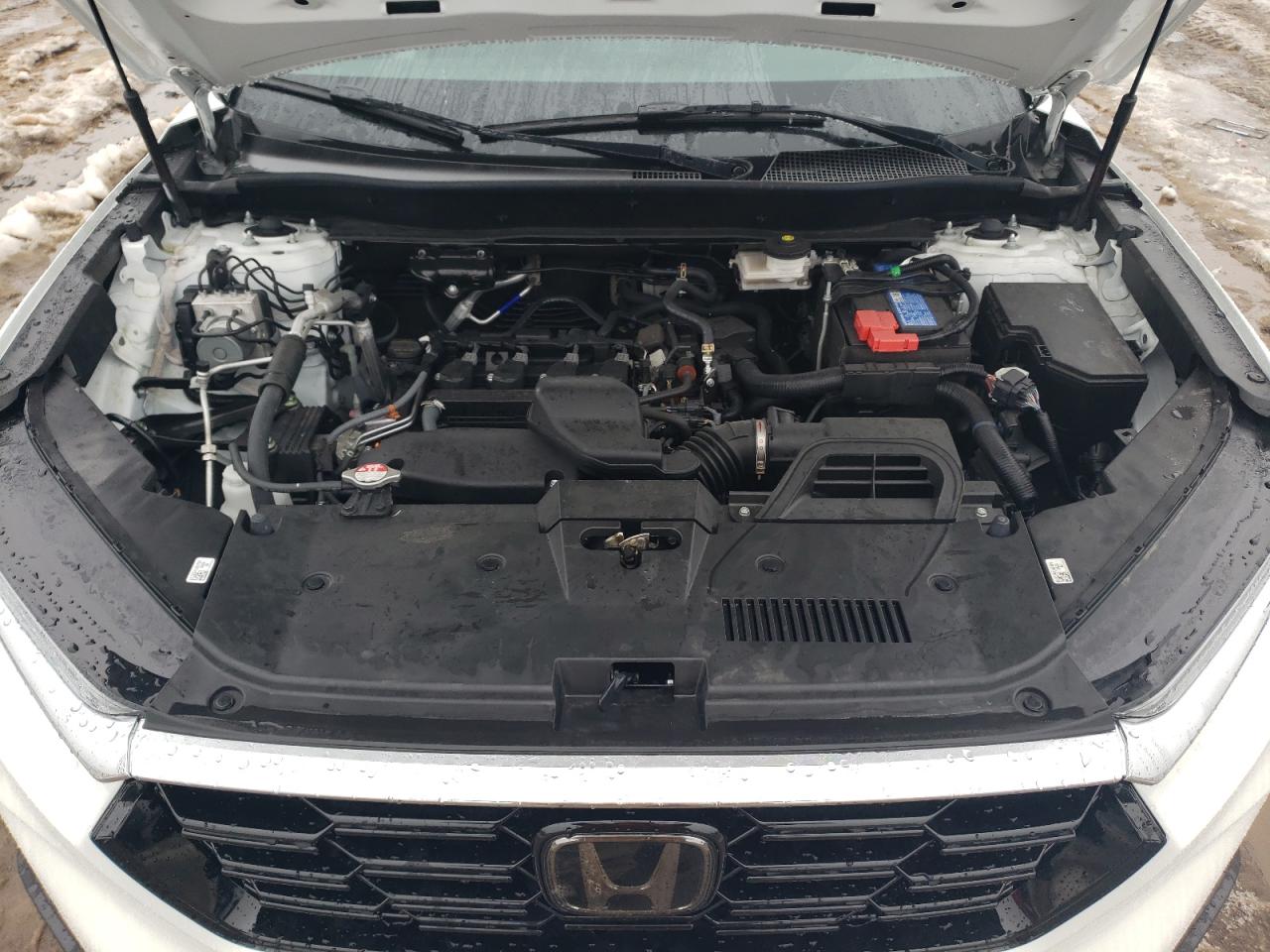2023 HONDA CR-V EXL VIN:7FARS4H76PE003205